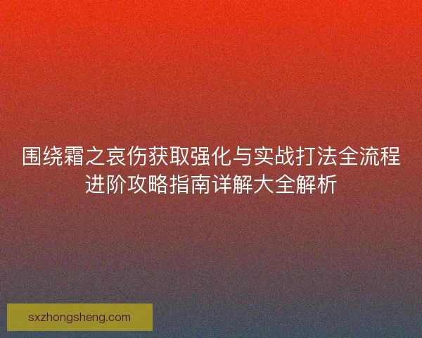 围绕霜之哀伤获取强化与实战打法全流程进阶攻略指南详解大全解析